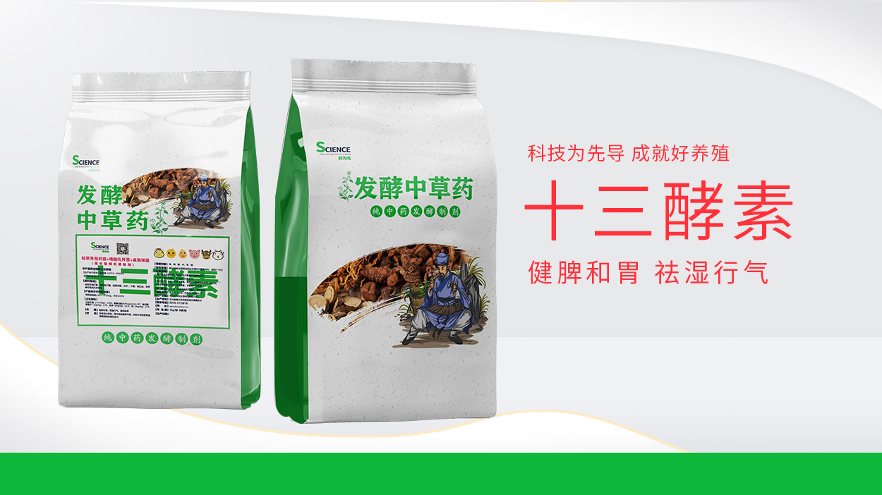 十三酵素