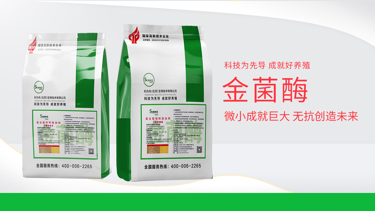 金菌酶