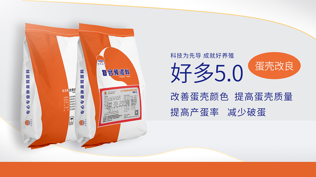 桔系列-好多5.0蛋壳改良