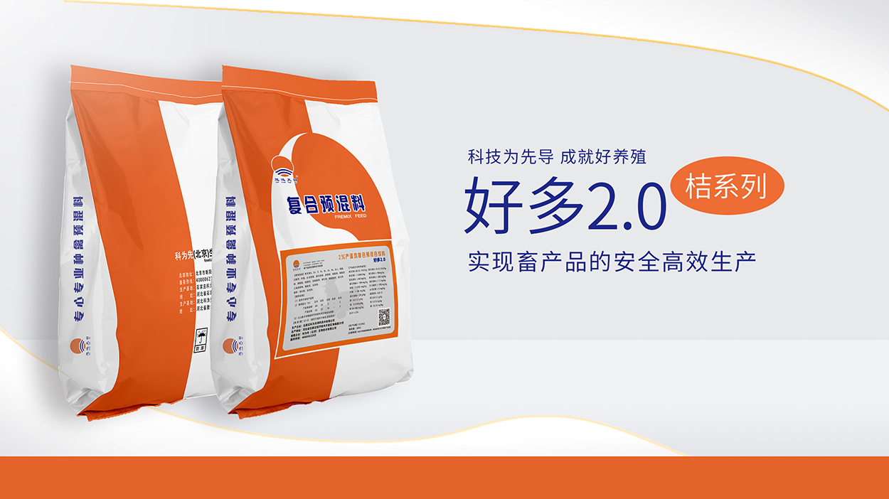 桔系列-好多2.0