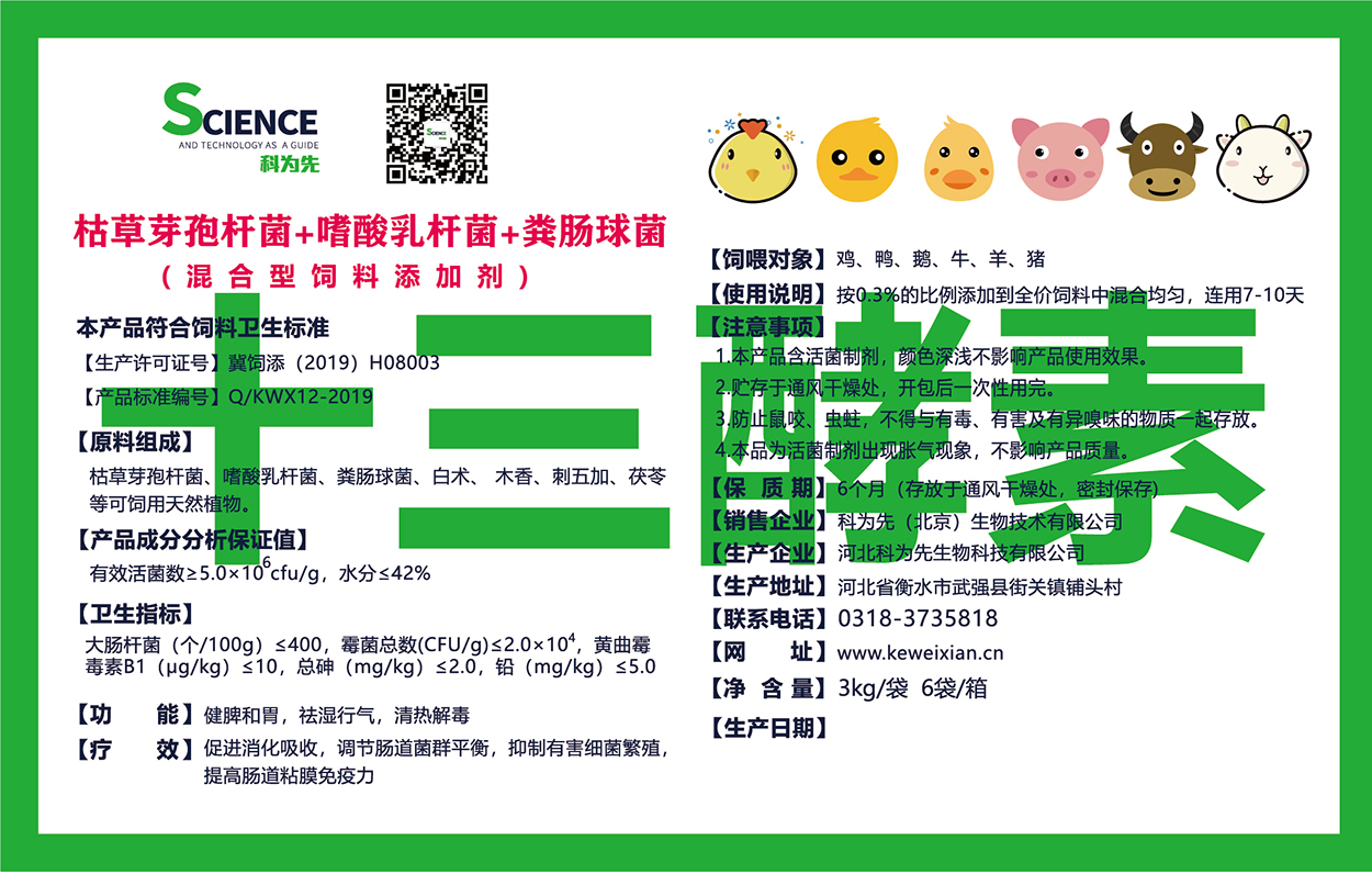 十三酵素