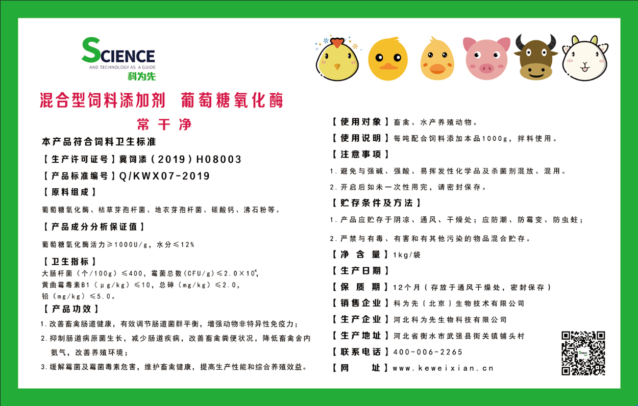 长干净