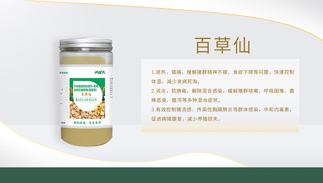 百草仙