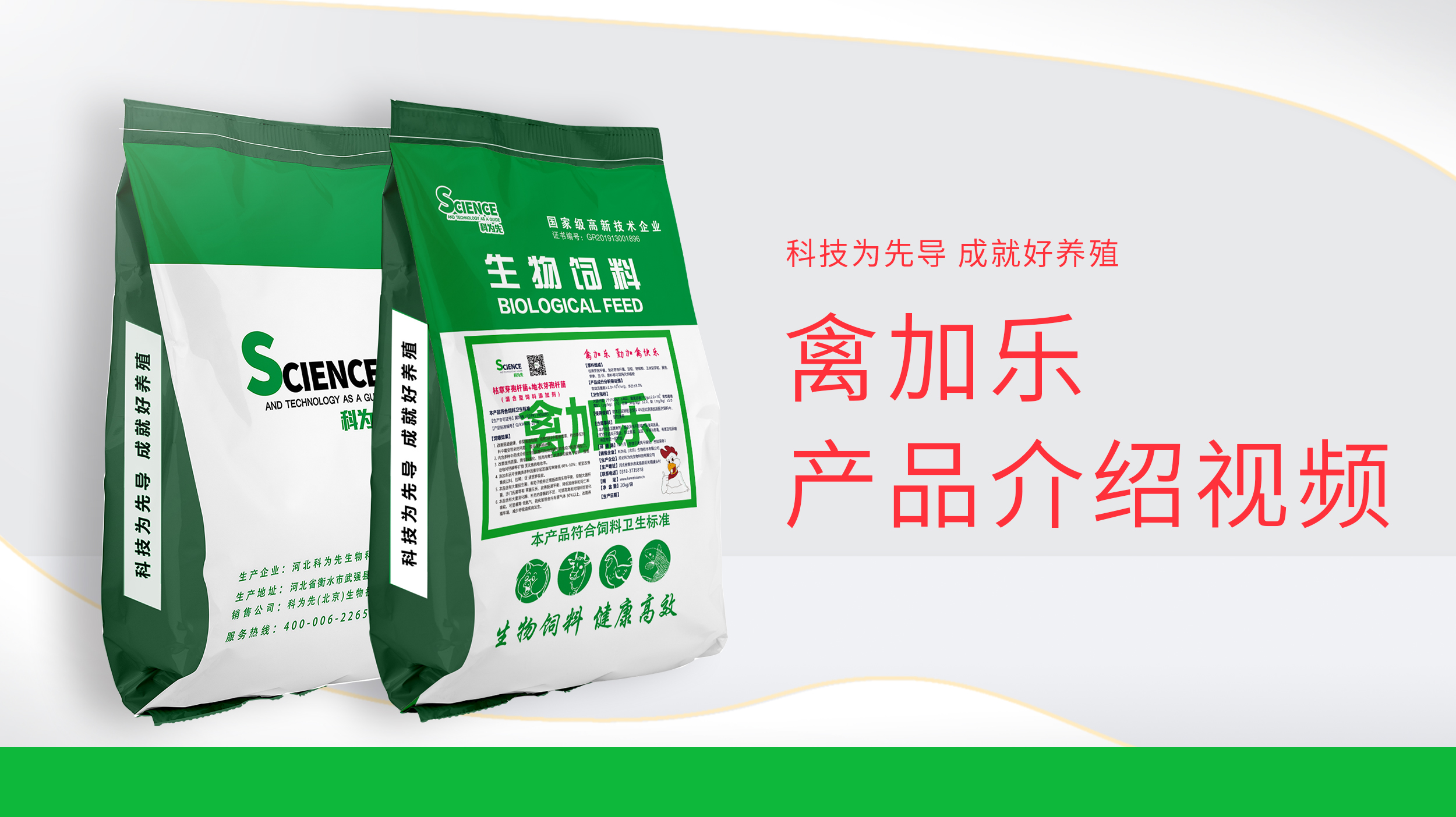 禽加乐产品介绍