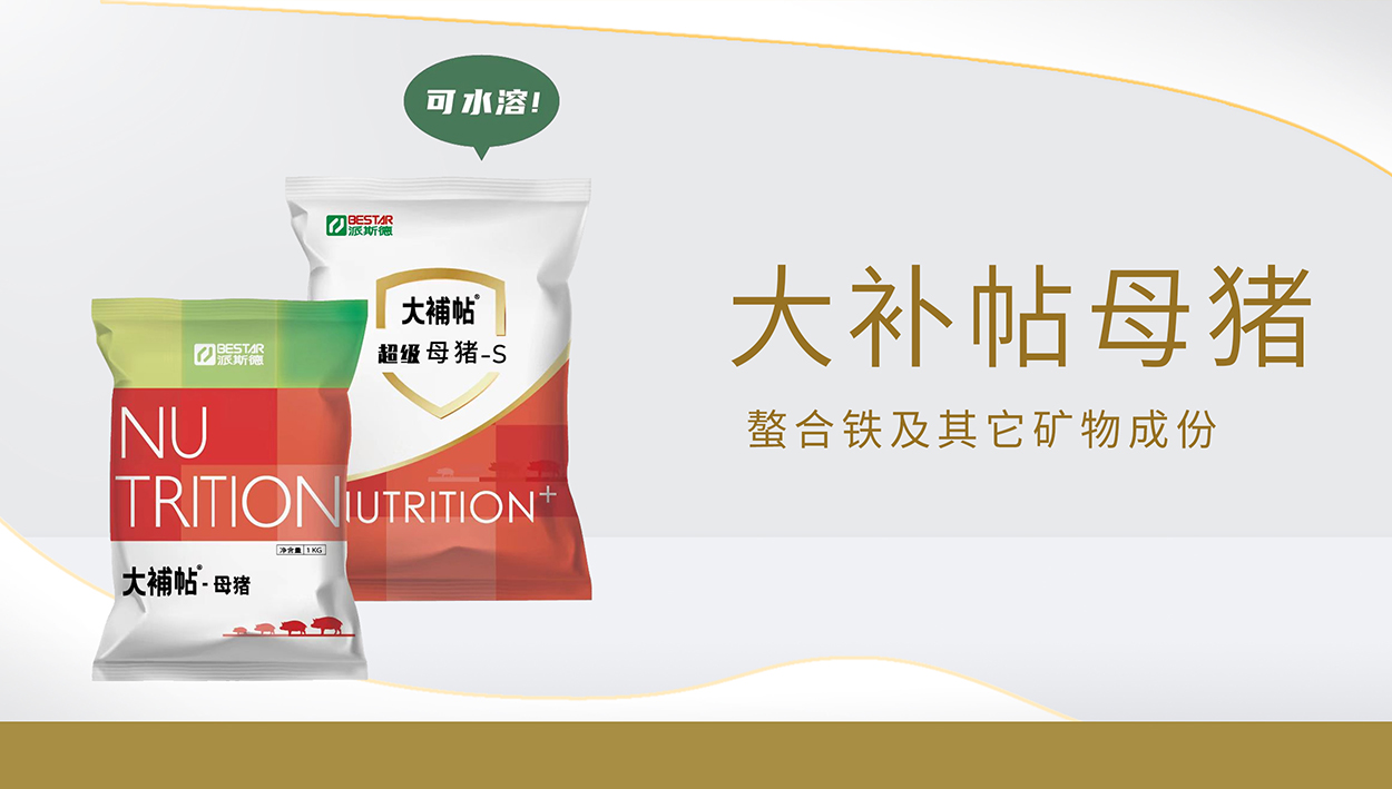 大补帖母猪