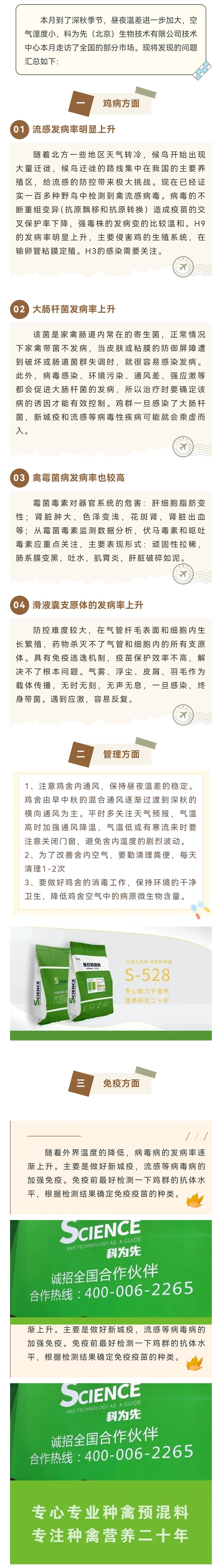 10月市场服务汇编