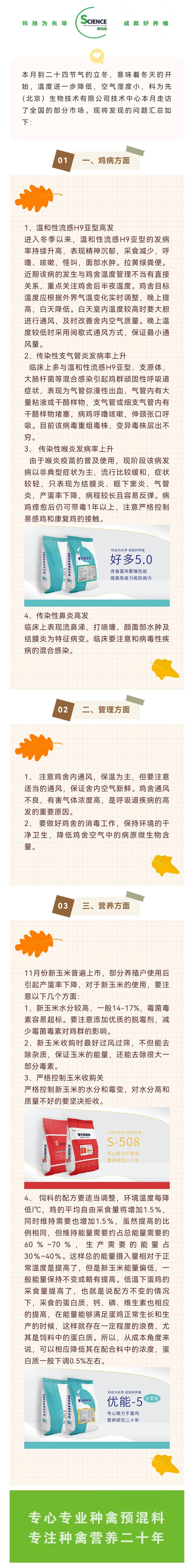 11月市场服务汇编
