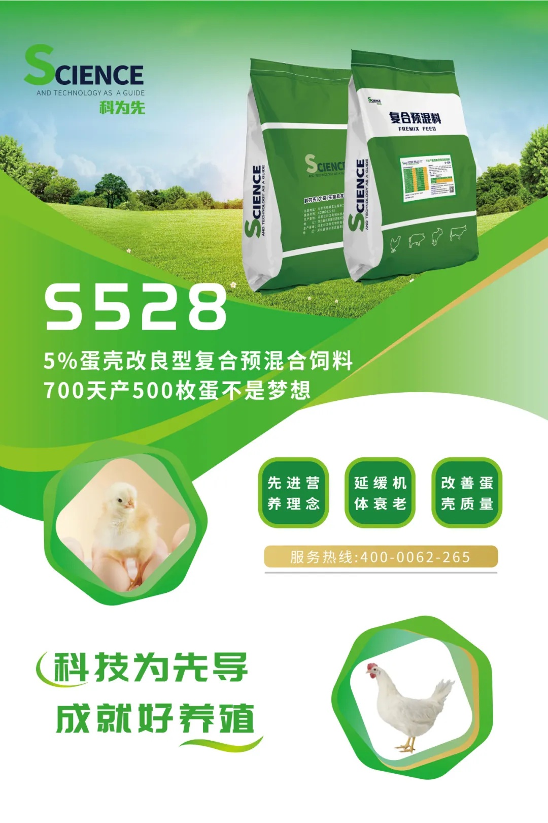 2025年6月市场服务汇编