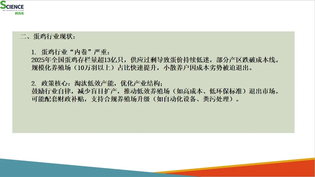 国家“反内卷”政策对蛋鸡行业影响的分析及散养户应对策略