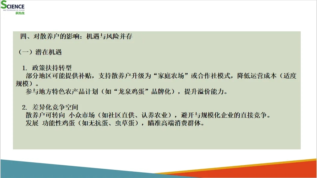 国家“反内卷”政策对蛋鸡行业影响的分析及散养户应对策略