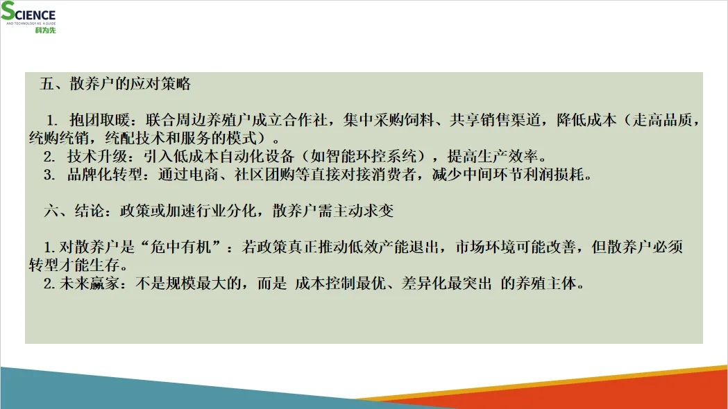 国家“反内卷”政策对蛋鸡行业影响的分析及散养户应对策略