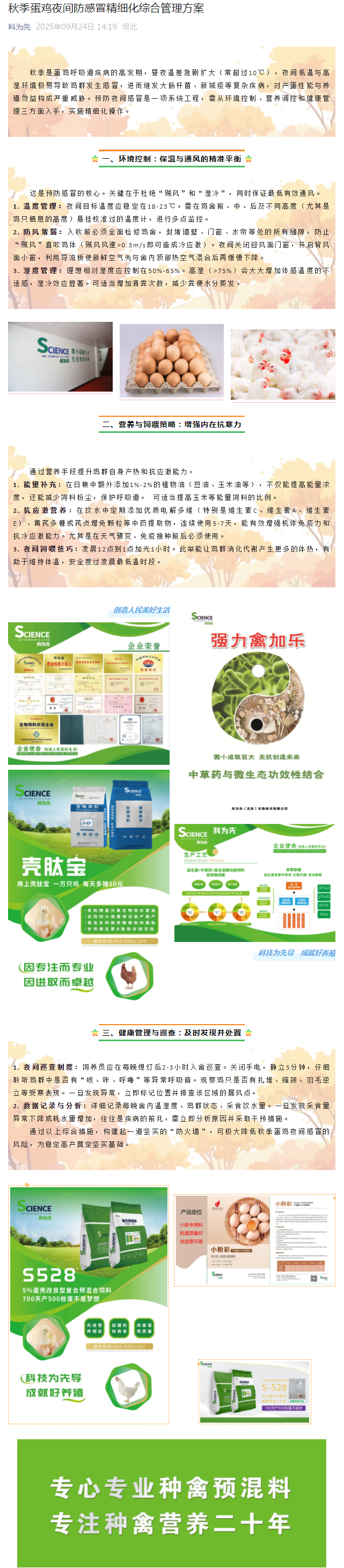 秋季蛋鸡夜间防感冒精细化综合管理方案