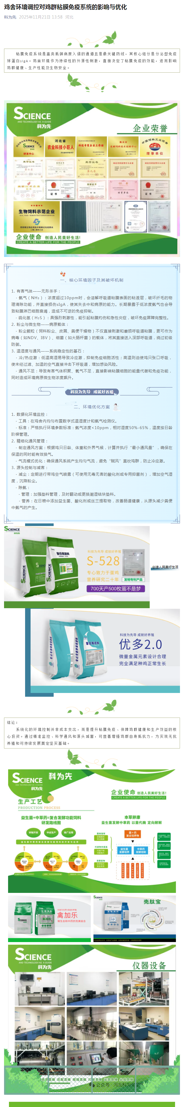 鸡舍环境调控对鸡群粘膜免疫系统的影响与优化